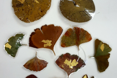 gingko-en-waterlelie-broches